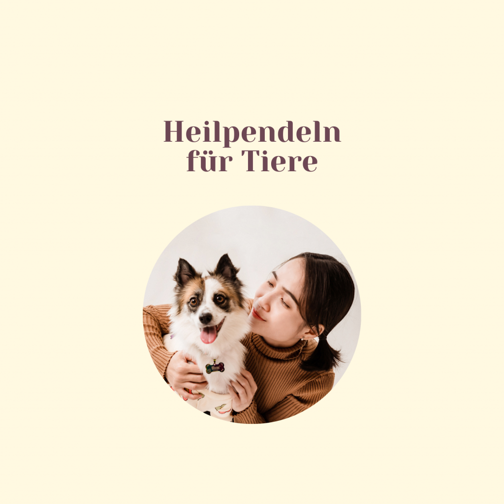 Heilpendeln für Tiere